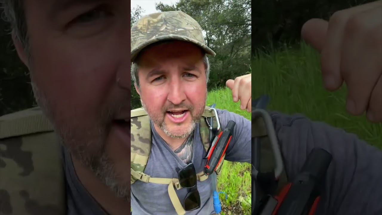 Lets track mountain lions!  