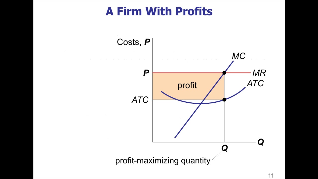 Econ 05 03 Profit Maximization YouTube
