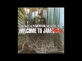 DAMIAN MARLEY- Welcome to Jamrock/INI KAMOZE- World a music