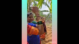 Hasiru Gajina Balegale