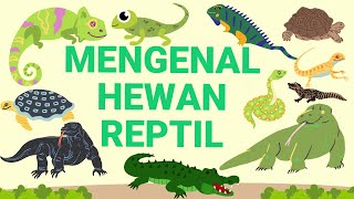 mengenal hewan reptil