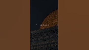 أرح قلبك 🫀 واستمع إلى القرآن الكريم 💗