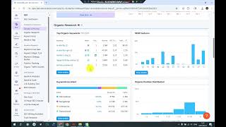 How to Beat Competitors with SEMrush | SEO Tutorial for Beginners