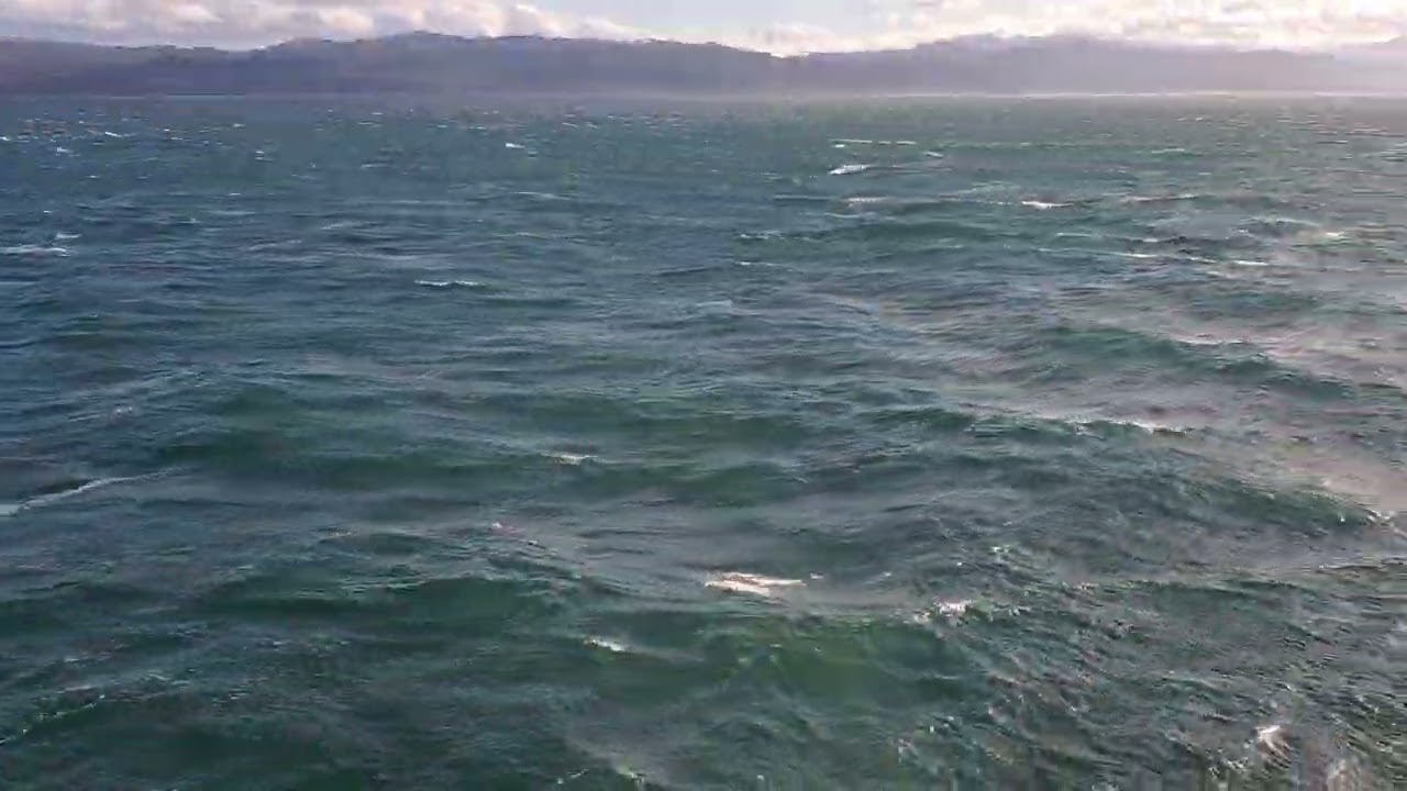 Beagle Channel Outbound 4 - 12-25-24