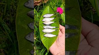 Fish pakoda 🐠🤤 #shorts #yt #youtube #viralvideo #minivlog #funny #minivlog #seafood
