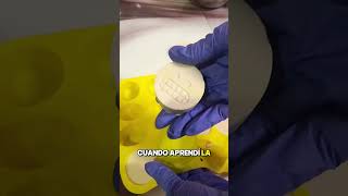 La manteca de karité puede elevar tus jabones artesanales… pero solo si sabes usarla bien.