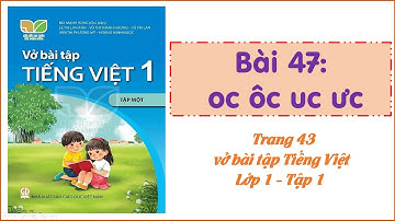 Vở bài tập Tiếng Việt - Lớp 1-  Kết nối tri thức - Tập 1 - Bài 47: oc ôc uc ưc - Trang 43