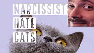 Forsen reacts to Narcissists Hate Cats + Can narcissists BE NICE to their pets? + Cat Allergies