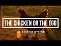 The Chicken or the Egg? Life’s Oldest Mystery (AI Music)