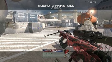 IW4X Terminal plane shot.