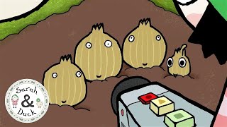 Meet The Shallots - Character Spotlights - Sarah & Duck