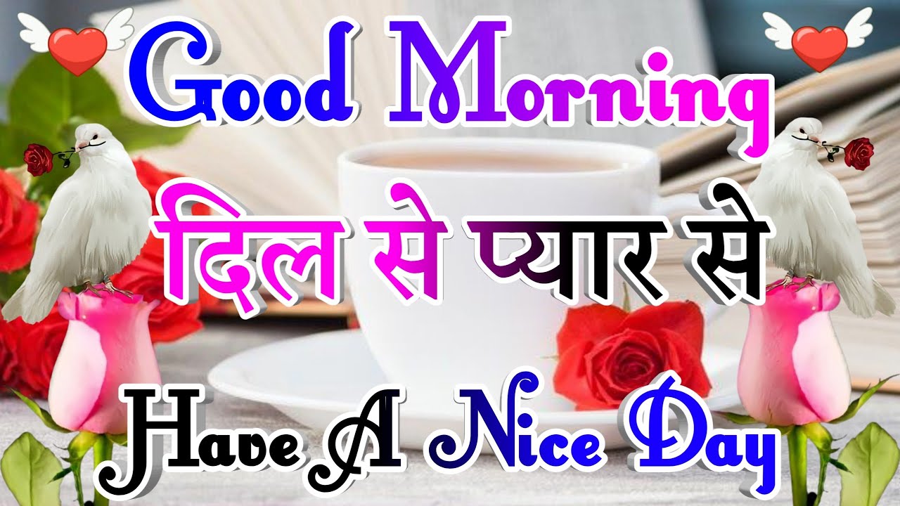 Good Morning Shayari Video🌹 Good Morning Status video 🥀 Good Morning