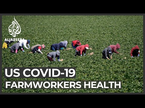 Coronavirus and farming: California farmworkers at high risk