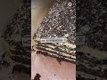Быстрый вкуснейший торт