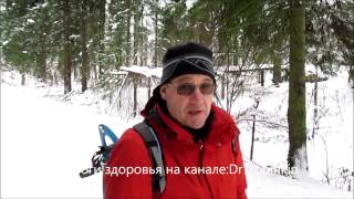 "Скандинавская ходьба". Советы доктора Тропинкина. Снаряжение для лесных маршрутов. "Скандинавская ходьба". Советы доктора Тропинкина. Снаряжение для лесных маршрутов.