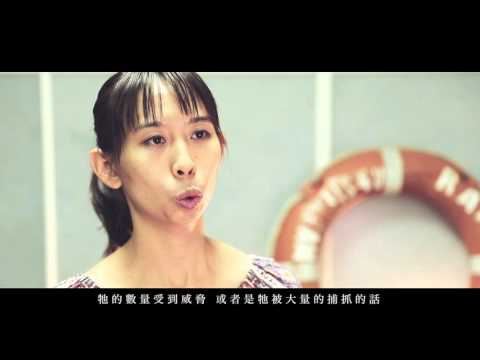 5分鐘影片，道盡海洋危機