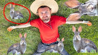 my rabbit infestation is OUT of control