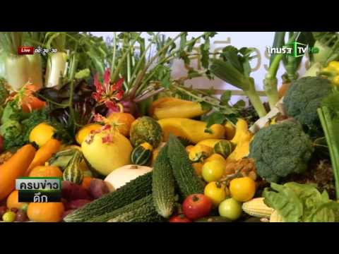 FOOD FOR HEALTH ผัก 5 สีดีอร่อย | 20-11-58 | ครบข่าวดึก | ThairathTV