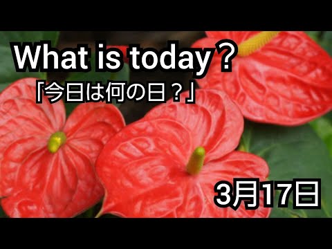 What Is Today 今日は何の日 Youtube What Is Today 今日は何の日 Youtube