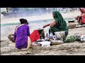 Evening routine village life in india  natural life in indian village  indian real village