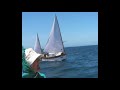 Bolger micro sailing gulf st vincent