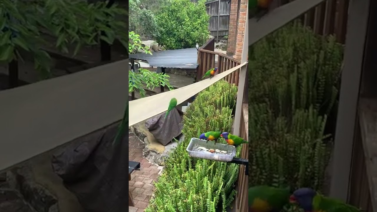 Greg’s Wildlife Park