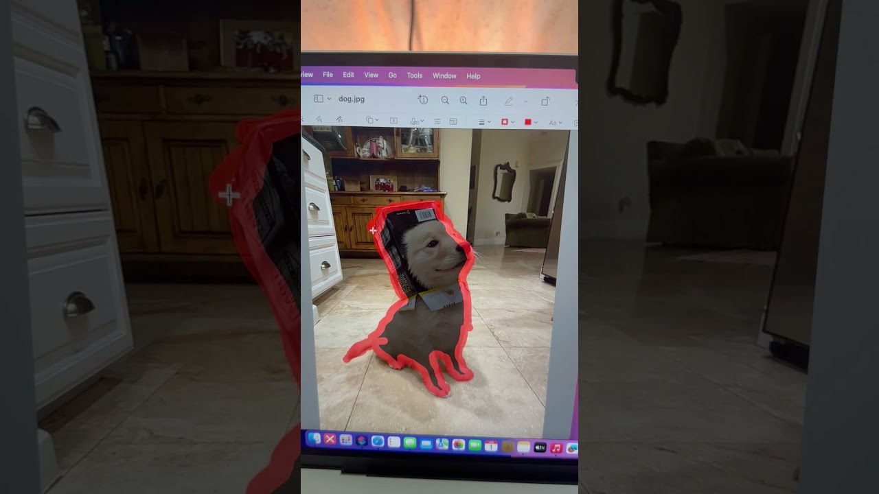 Remove Photo Background on MacBook – No App Needed!