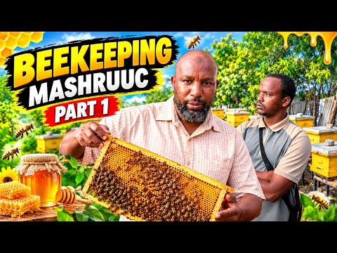 Abdiqadir Wuxu MUDO BaDan ka Ganacsan Jiray Shiniida. Beekeeping Project.