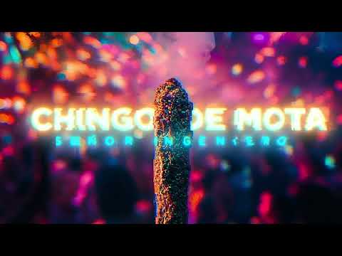 Chingo de Mota - Señor Ingeniero - Audio Oficial
