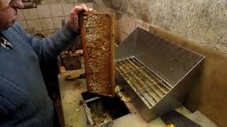 Première récolte de miel de colza