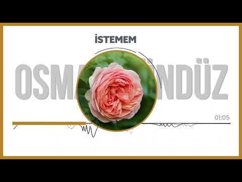 İstemem | Müziksiz İlahi | Osman Gündüz