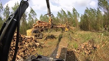 Tigercat 234B ride along