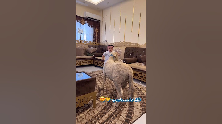 يحيى الزعبي يستقبل خروف العيد بكل رحابه الصدر😂 #العيد #يحيى_الزعبي #اكسبلور #ضحك #tiktok #دويتو