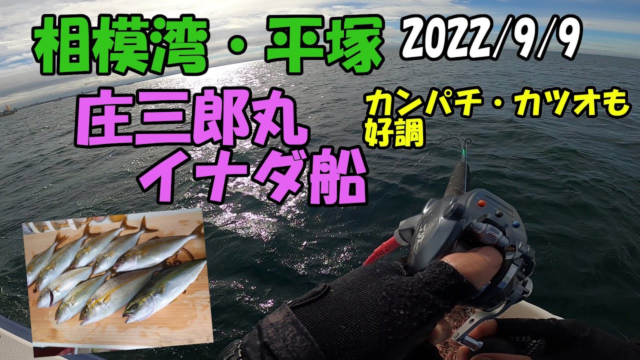 相模湾・平塚大磯二宮沖　庄三郎丸イナダ船　カンパチ・カツオも好調　2022年9月9日