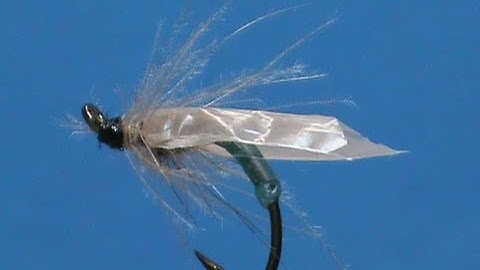 Fly Tying a Gummy Caddis Flymph with Jim Misiura