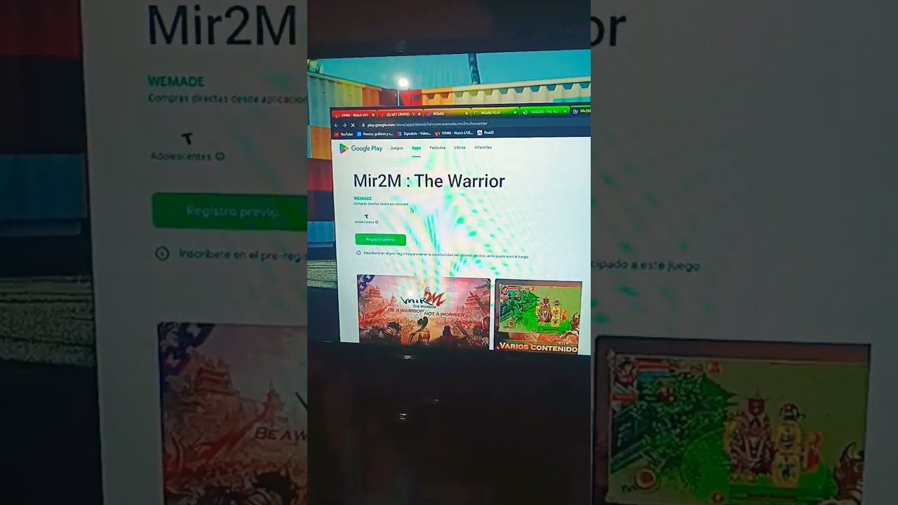 Mir2M the Warrior - P2E