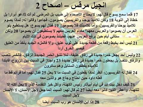 2 انجيل مرقس الاصحاح 2 ابونا لوقا ماهر