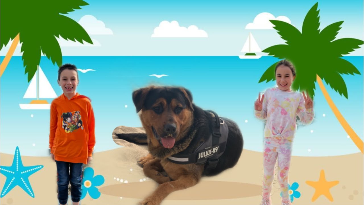 JUEGOS con Rocky en la PLAYA