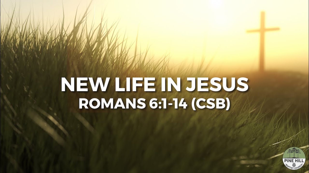 New Life in Jesus - YouTube