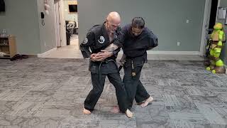 Practical Hapkido crosswrist #2