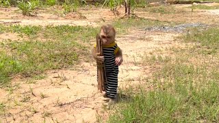 smart Donut collecting log & bring it to cook for lunch