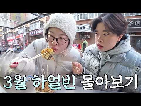 ✦꿀잼보장✦ 상하이 비켜! 꿔바로우의 고장, 맛있는 하얼빈 몰아보기 (1.5시간)