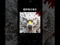 ✨龍神の金運効果✨