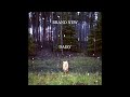 Brand New - Vices (Vinyl Rip) HQ
