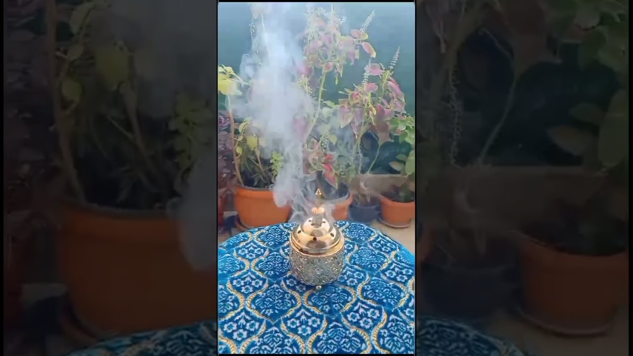 برج العقرب♏مفاجات من العيار الثقيل جايه في الطريق اتحملت كتير بس أحذر من الحيه خد  #القارئه_ام_احمد