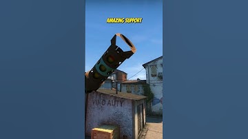 AMAZING SUPPORT #shorts #csgo