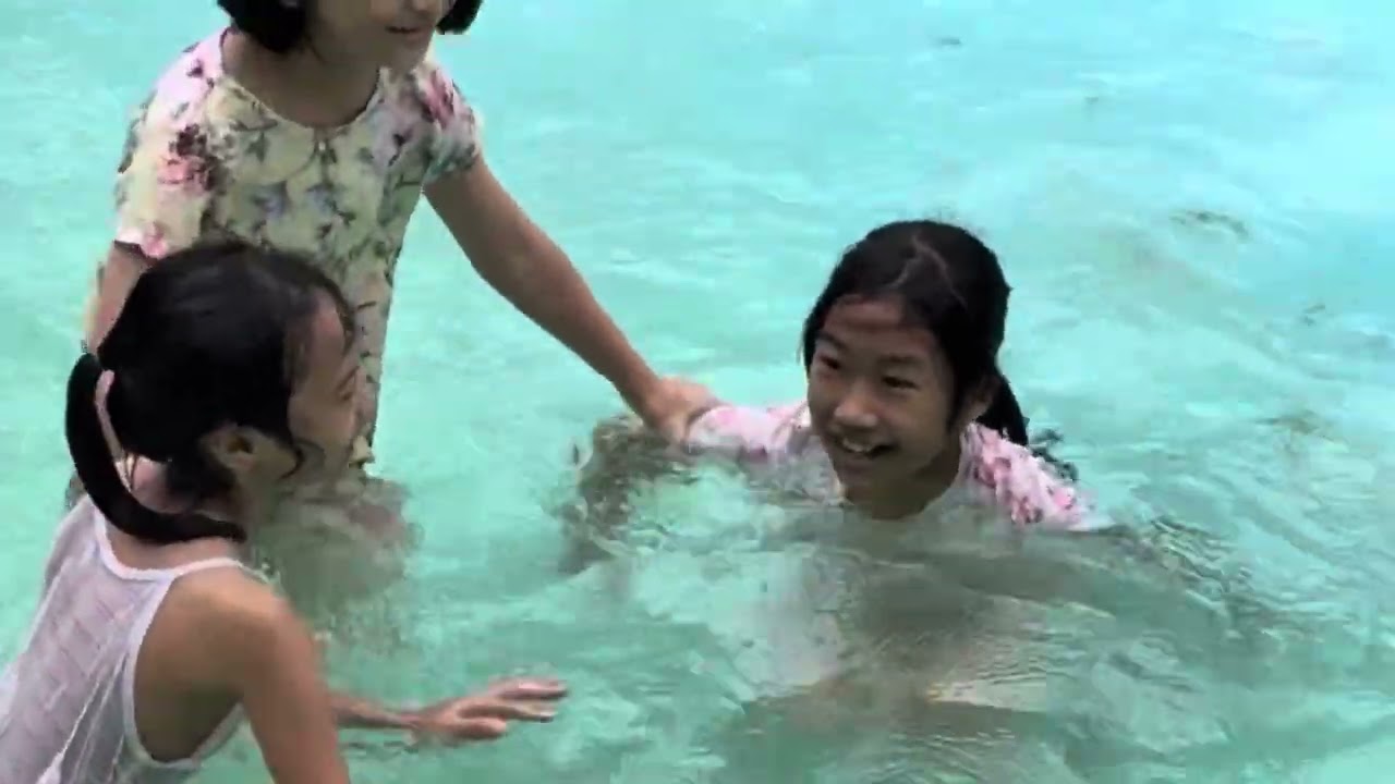 Dingdong park picnic