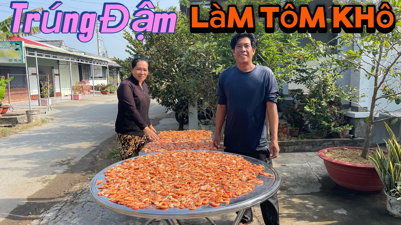 Không Ngờ Con Nước Rầm Trúng Đậm Bao La Tôm Và Cá / Tập 473