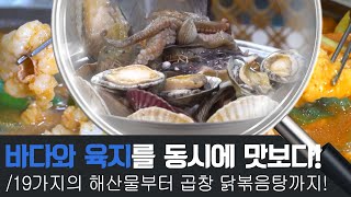 바다와 육지 친구들을 한 번에 만날 수 있는 곳이 있다?! | 전국이 보인다 | 11월 13일