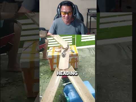 This Fish Said Not Today Reaction